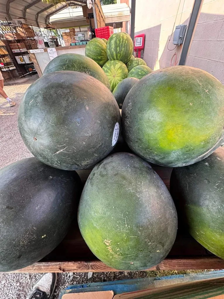 Black Diamond watermelons