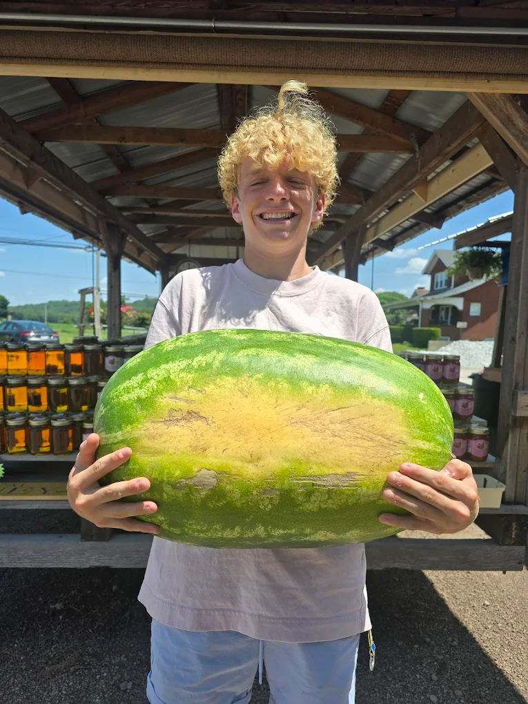 Seeded watermelon