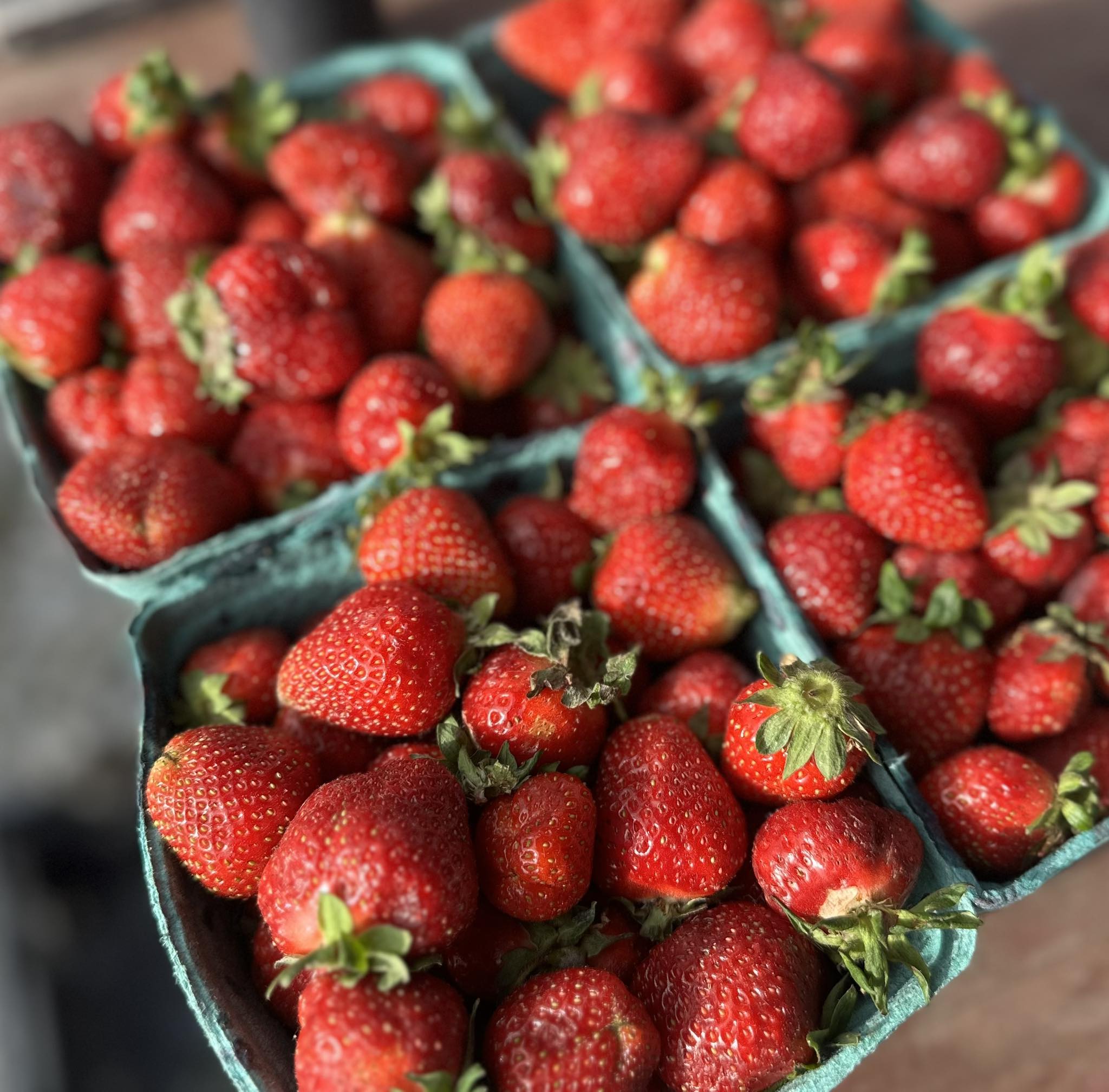 Local strawberries
